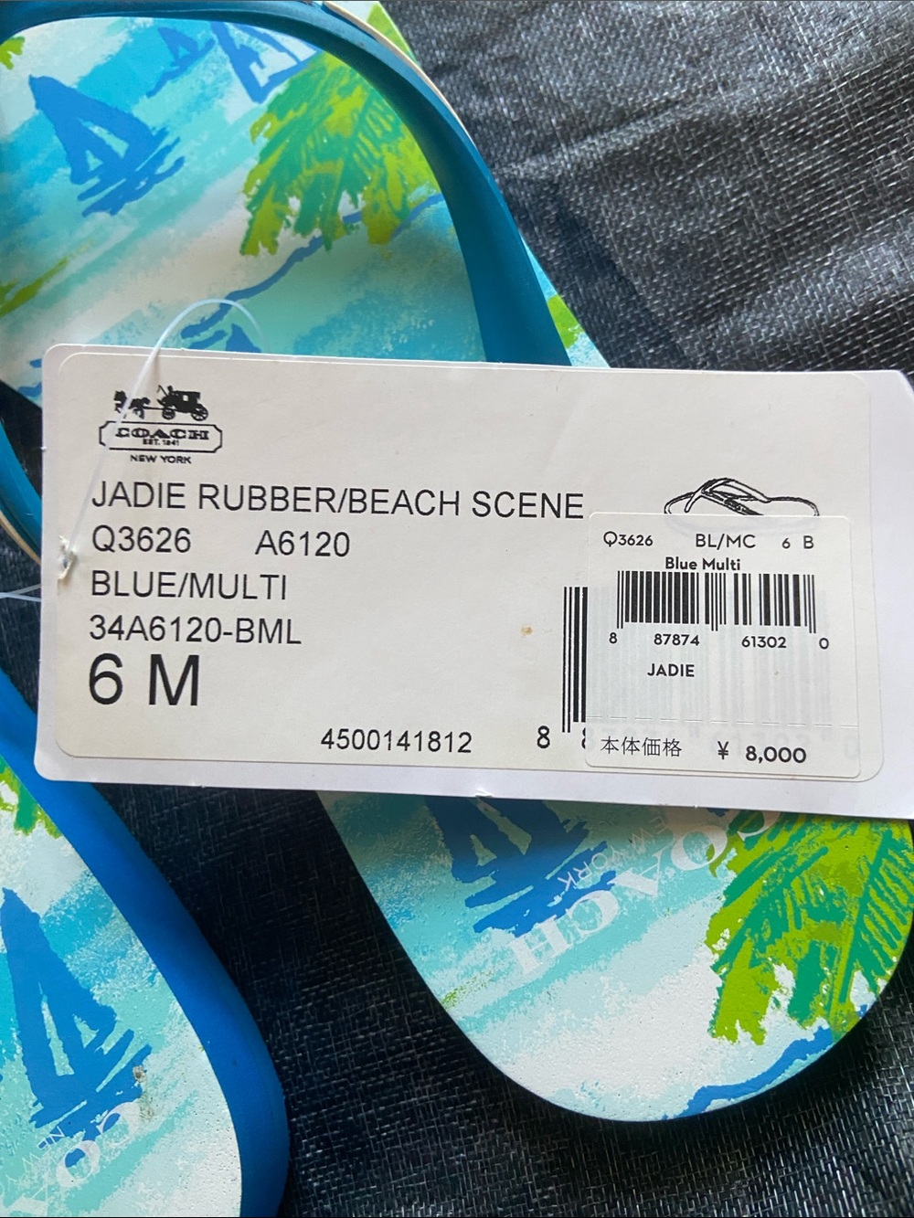 Coach Jadie Beach Scene Flip Flips NWT size 6 - Picture 4 of 4